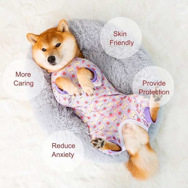 Dog Recovery Suit for Small Medium Large Dogs, Pet Onesie After Surgery Comfort Dog Bodysuit Anti Licking (Small, Purple Bunny)