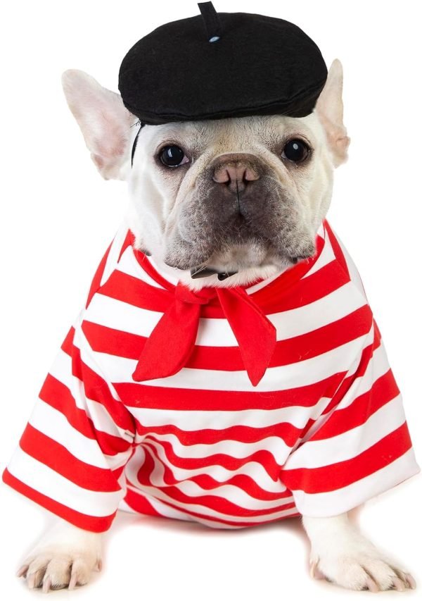 Artist Dog Costume with Funny Hat Painter Pet Clothes for Small Dog Shirts Puppy Summer T-Shirt (XL) Black