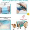 Dog Clothes Cooling Shirts for Small Dogs Boy Girl Yorkie Chihuahua,Summer Dog Cooling Vest Breathable Pet Mesh T-Shirts Quick Dry Doggy Clothes for Small Medium Large Dogs Apparel