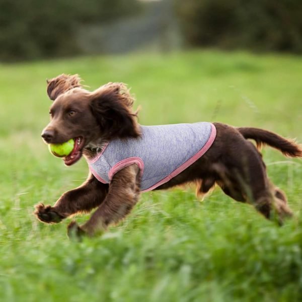 2PCS Summer Dog Tank Top Puppy Quick Dry Sleeveless Vest Stretchy Cotton Dog Shirt Outfits for Small Middle Large Size Dog (Purple+Pink) S