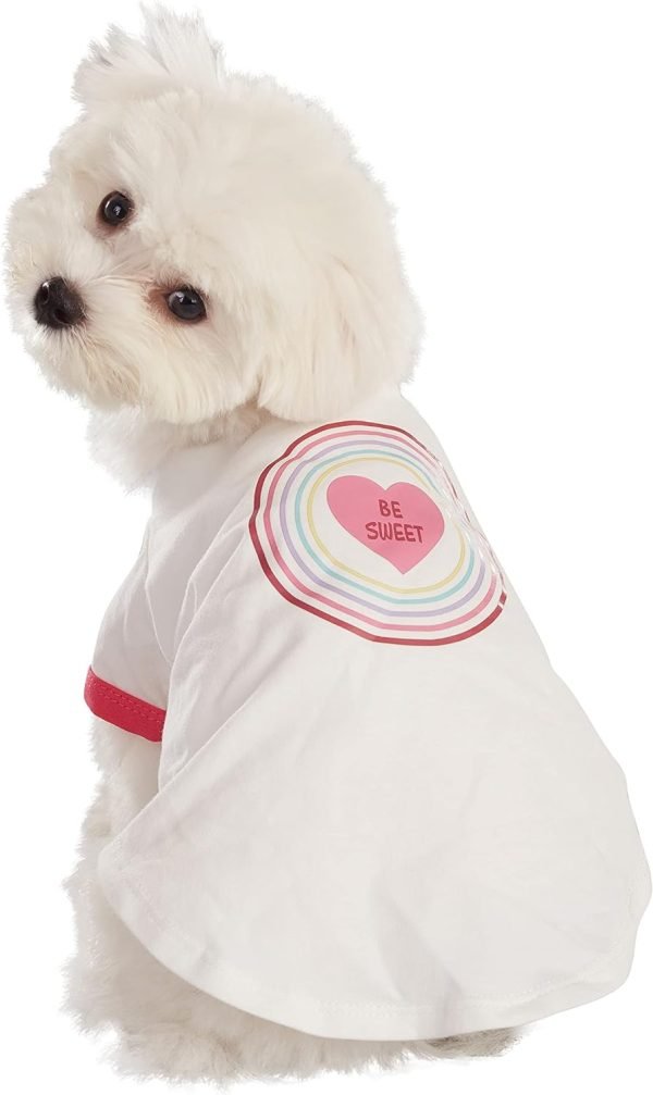 T-Shirt for Dogs, Bunny, Small