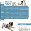 Dog Anxiety Vest, Comfort Dog Anxiety Relief Coat, Breathable Dog Calming Vest for Thunderstorm, Travel, Fireworks, Vet Visits (S,Light Grey)