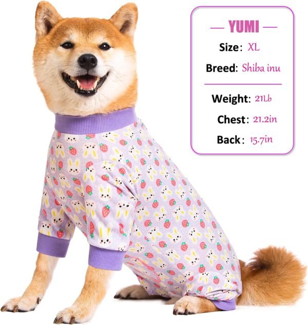 Dog Recovery Suit for Small Medium Large Dogs, Pet Onesie After Surgery Comfort Dog Bodysuit Anti Licking (Small, Purple Bunny)