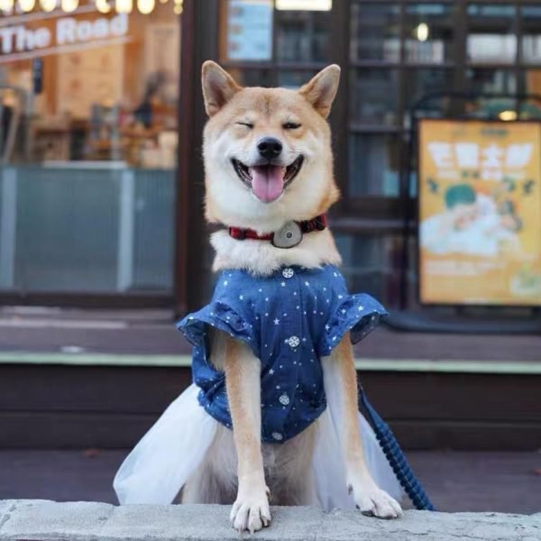 71Pw3abc3jL._AC_SL1500 Polka Dot Big large Dog Princess Dress Tutu Skirt Golden Retriever Pitbull Summer Dog Clothes Hoodie Costume (XXXL, Blue)