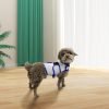 Dog Anxiety Vest, Comfort Dog Anxiety Relief Coat, Breathable Dog Calming Vest for Thunderstorm, Travel, Fireworks, Vet Visits (S,Light Grey)