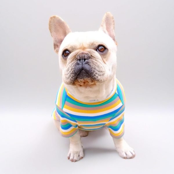 Small Dog Shirts for Small Dogs, Stretchy Dog Summer Clothes French Bulldogs Clothes, Striped Designer Dog Clothes Shirts for Dogs Cats, Puppy Shirts for Small Dogs Boy Girls (M)