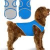 2 Pack Quick Dry Dog Shirt, Lightweight Mesh Breathable Dog Clothes for Small Dogs Girl,Sun-Protection Sleeveless Shirts for Dog&Cat Puppy Vest Pet Apparel