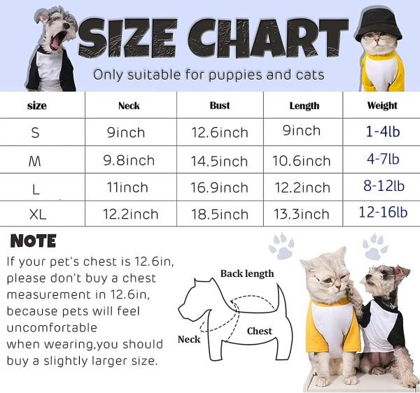 Dog Clothes for Small Dog, Breathable Stretchy Dog Raglan Shirt, Soft Comfortable Cat Puppy Kitten Pet Apparel Outfits (S（1-4lb）, Orang Blue & White Pink)