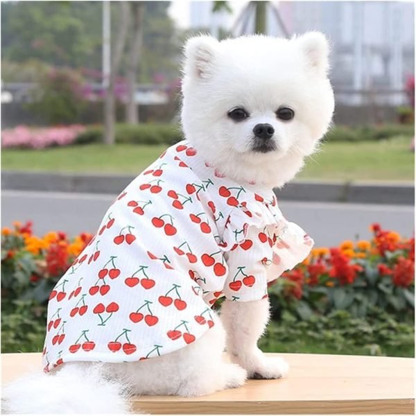 Cherry Skirt Pet Dog Clothes Cute Puppy Dress Puppy Vest T-Shirt Summer Small Medium Dogs Bottoming Shirt Clothing