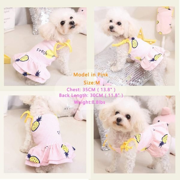 2 Pack Dog Shirt Skirt Striped Printed T Shirts Cotton Vest Pleated Dress Puppy Clothes Summer Shirts Cute Girl Boy Tops Soft Pet Apparel for Small Medium Dogs Cats Outfits Costume(M)