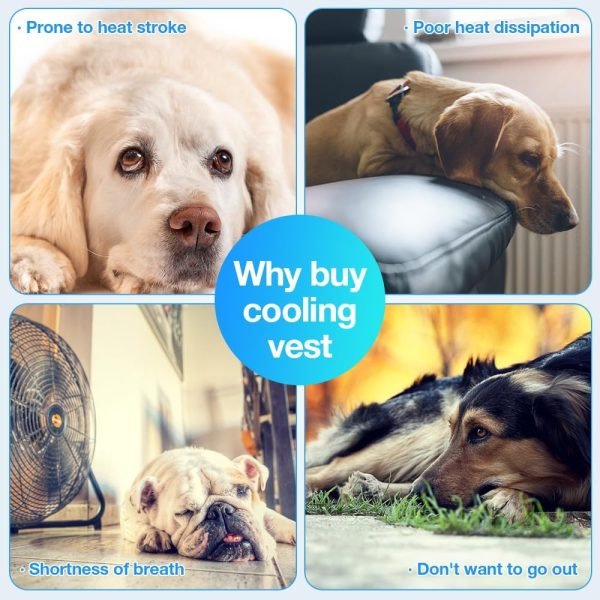 Dog Cooling Vest for Summer, Lightweight Jacket Dog Cooling Shirt, UV Protection Cooling Harness for Outdoor Activity with Breathable Mesh(Grey, X-Large)