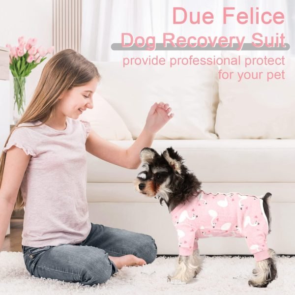 Dog Surgery Recovery Suit Pet Surgical Onesie Long Sleeve After Surgery Wear Pet E-Collar Alternative for Female Male Dog with LegPink Swan/Small