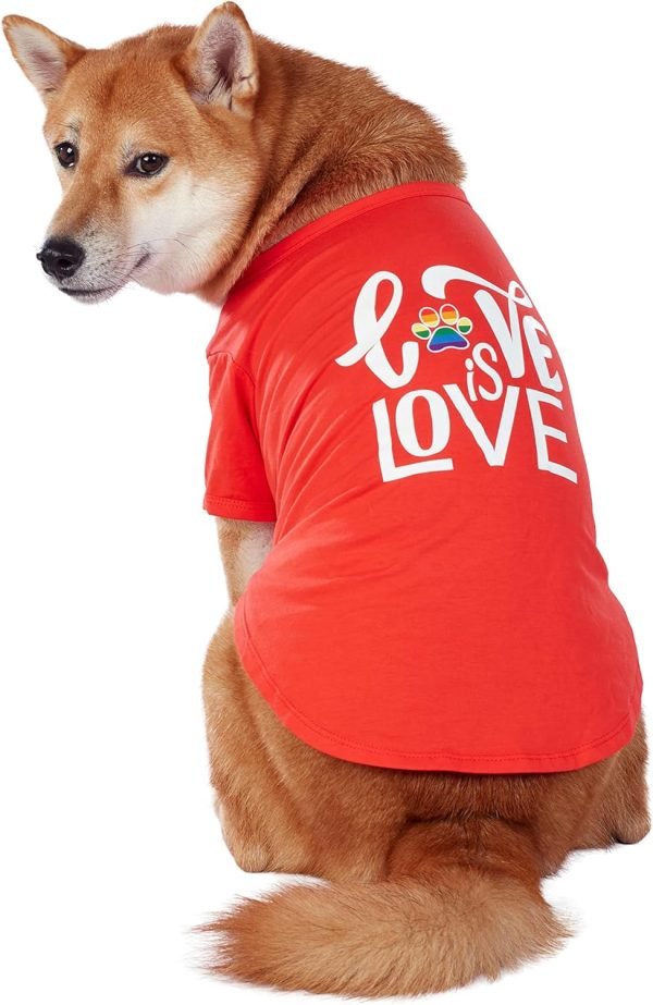 T-Shirt for Dogs, Bunny, Small