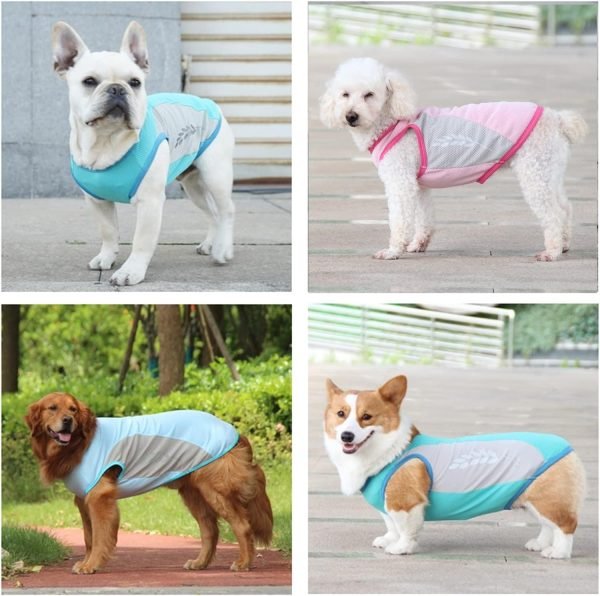 Dog Clothes Cooling Shirts for Small Dogs Boy Girl Yorkie Chihuahua,Summer Dog Cooling Vest Breathable Pet Mesh T-Shirts Quick Dry Doggy Clothes for Small Medium Large Dogs Apparel