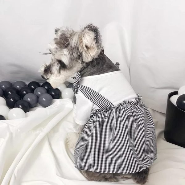 71tPLOF6-bL._AC_SL1500_841b0928-cd70-48a9-b46b-6fa48d6a7577 Dog Clothes Bulldog Clothes Summer Pug Clothing Dog Dress Poodle Schnauzer Corgi Costume Pet Clothing Skirt Suitable for Small, Medium and Large Dogs Or Cats Halloween