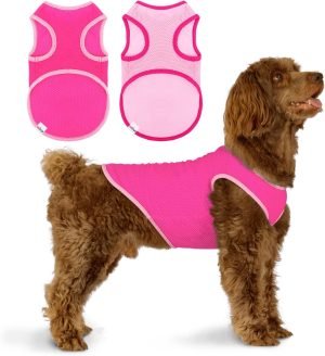 2 Pack Quick Dry Dog Shirt, Lightweight Mesh Breathable Dog Clothes for Small Dogs Girl,Sun-Protection Sleeveless Shirts for Dog&Cat Puppy Vest Pet Apparel