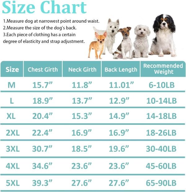Dog Clothes Cooling Shirts for Small Dogs Boy Girl Yorkie Chihuahua,Summer Dog Cooling Vest Breathable Pet Mesh T-Shirts Quick Dry Doggy Clothes for Small Medium Large Dogs Apparel