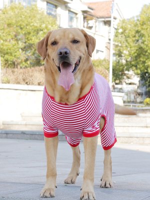 Dog Pajamas Cotton Puppy Jumpsuit Striped Pup Pjs Breathable 4 Legs Basic clothes for Puppy and Cat