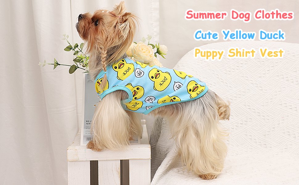 extra small dog clothes