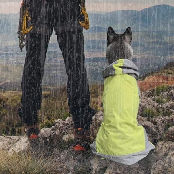 Dog Raincoat,Dog Waterproof Jacket,Reflective Dog Jacket with Hoodie,Lightweight Dog Poncho Slicker,Dog Rain Coat for Medium Large Dogs (Green, X-Large)