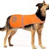 Reflective Safety Dog Vest, High Visibility Keep Dogs Visible Outdoor Activity Day and Night, Hunting and Walking, Dog Jacket for Small Medium and Large Dogs (Blaze Orange, L)