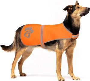 Reflective Safety Dog Vest, High Visibility Keep Dogs Visible Outdoor Activity Day and Night, Hunting and Walking, Dog Jacket for Small Medium and Large Dogs (Blaze Orange, L)