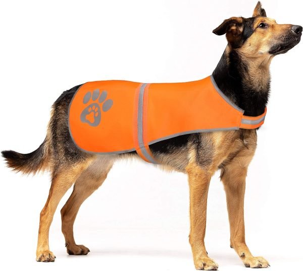 Reflective Safety Dog Vest, High Visibility Keep Dogs Visible Outdoor Activity Day and Night, Hunting and Walking, Dog Jacket for Small Medium and Large Dogs (Blaze Orange, L)