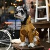 Dog Raincoat Jacket for Small Medium Large Dogs, Raincoat with Hood Poncho Waterproof Puppy Raincoat-Yellow