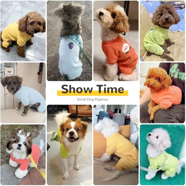 Dog Small Dog Shirt Pjs Soft Cotton Puppy Clothes Cute Spring Summer Dog Clothes for Small Dogs Girl Boy Chihuahua Stretchy Dog Onesies for Small Dogs Cats Jumpsuit Outfits
