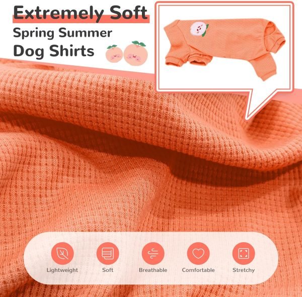 Dog Small Dog Shirt Pjs Soft Cotton Puppy Clothes Cute Spring Summer Dog Clothes for Small Dogs Girl Boy Chihuahua Stretchy Dog Onesies for Small Dogs Cats Jumpsuit Outfits