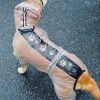 Dog Raincoat, Pet Rain Coat, 4 Legs Dog Rain Jacket with Reflective Stripe, Water Proof Dog Poncho Snow Clothes for Small Medium Large Dogs