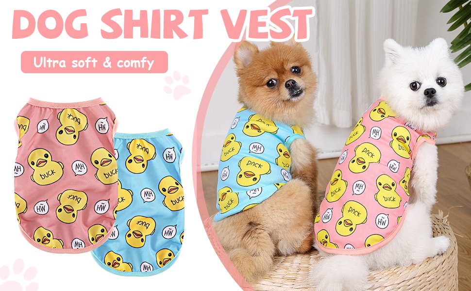small dog shirt