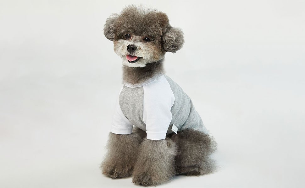 dog t shirt