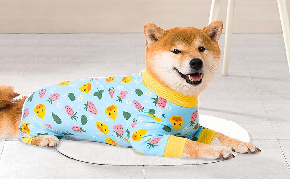 dog recovery suit