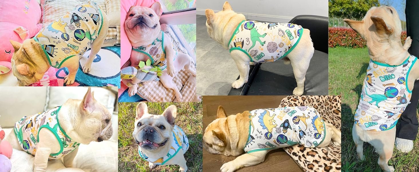 dog shirts