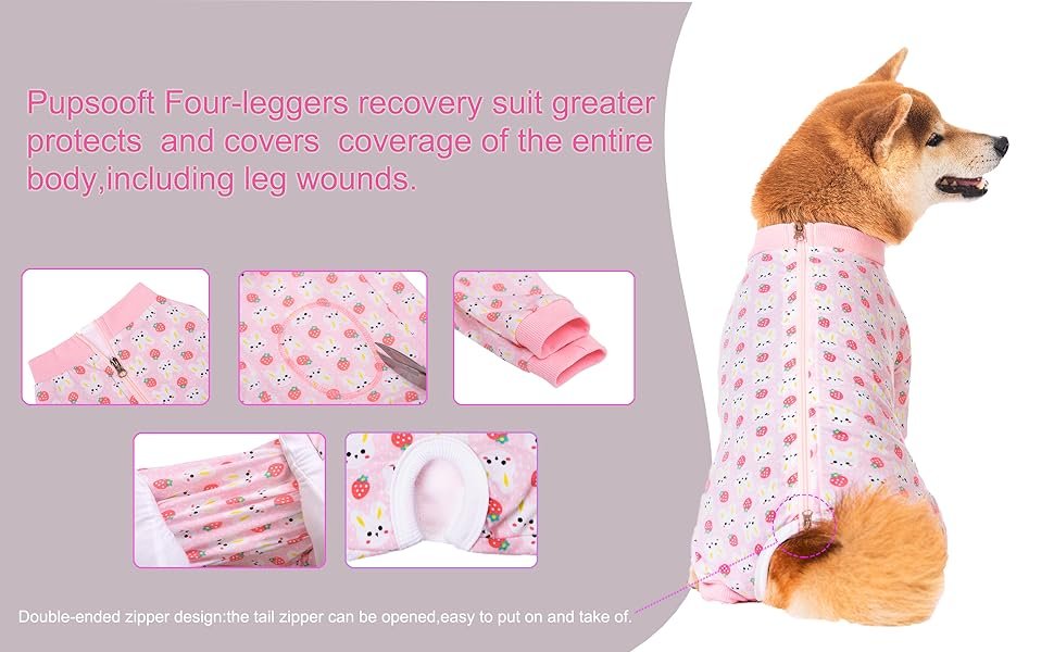 dog recovery suit