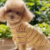 910QCzkRZ-L._AC_SL1500 Dog Shirts Cotton Striped T-Shirt, Summer Pet Clothes for Small Dogs, 2-Pack Soft Puppy Apparel Cat Tee, Breathable Stretchy, Blue Yellow XL