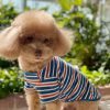 91ppC4MhTtL._AC_SL1500 Dog Shirts Cotton Striped T-Shirt, Summer Pet Clothes for Small Dogs, 2-Pack Soft Puppy Apparel Cat Tee, Breathable Stretchy, Blue Yellow XL