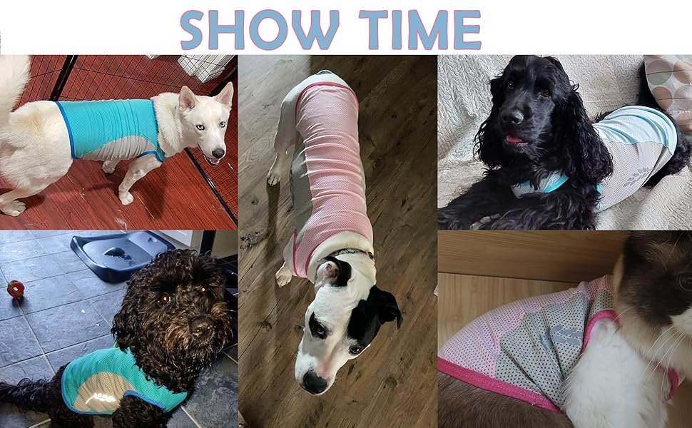 Dog cooling shirts 5