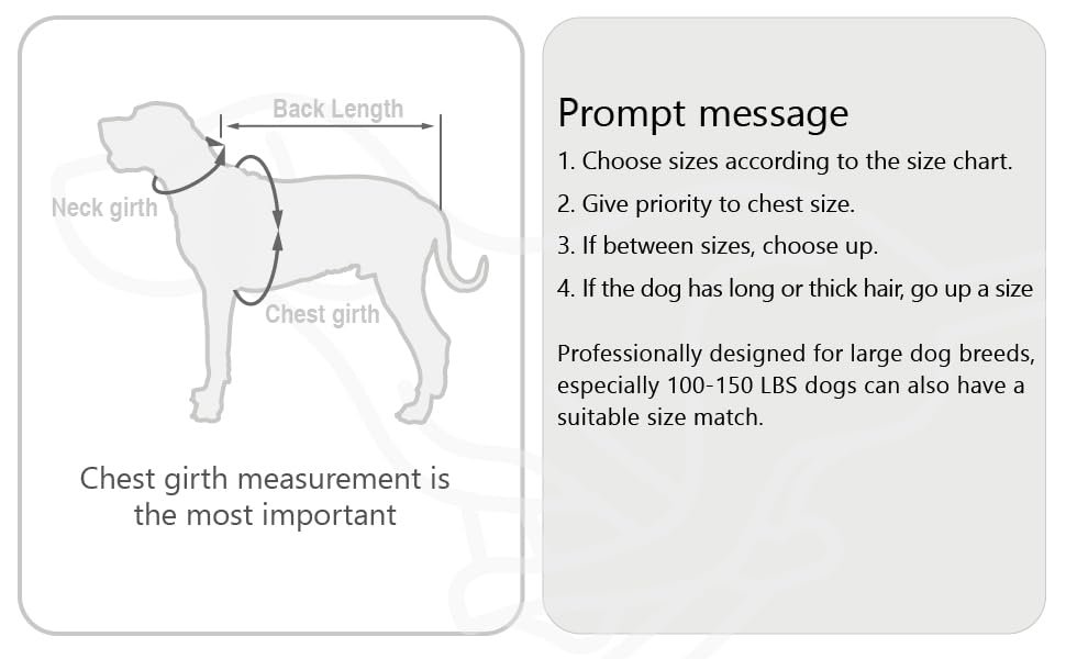 recommendation size 1