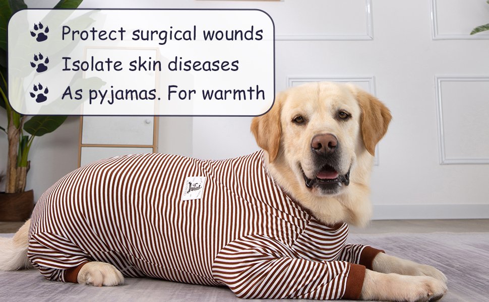 onesie for dogs after surgery