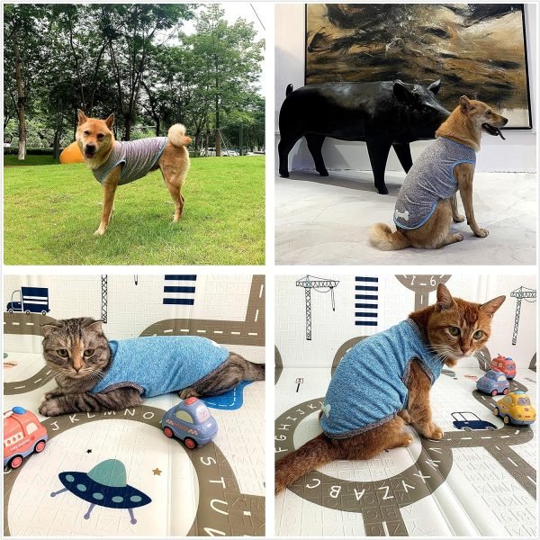Dog and Cat Shirt in Tech Fabric with Luminous Print, Pet Clothes for Large, Medium, and Small Dogs, 2-Pack of Lightweight Functional t-Shirts