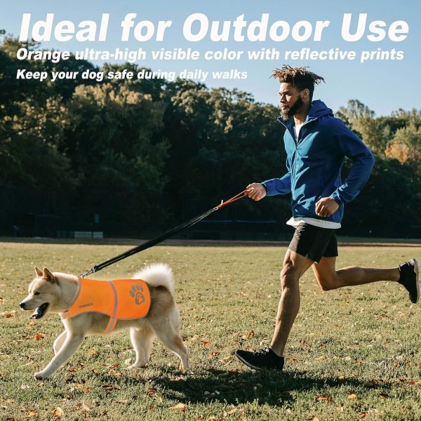 Reflective Safety Dog Vest, High Visibility Keep Dogs Visible Outdoor Activity Day and Night, Hunting and Walking, Dog Jacket for Small Medium and Large Dogs (Blaze Orange, L)