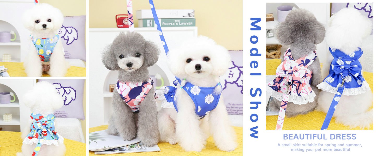 dress harness for small dogs