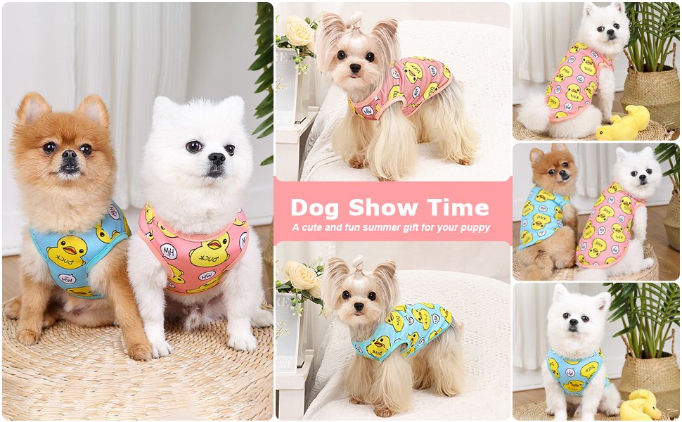 puppy clothes for small dogs boy