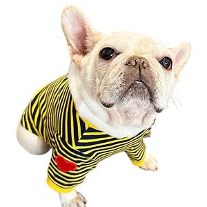dog shirt for small dogs