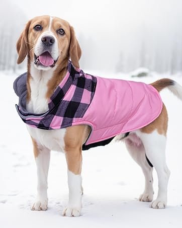 Dog cold weather coats