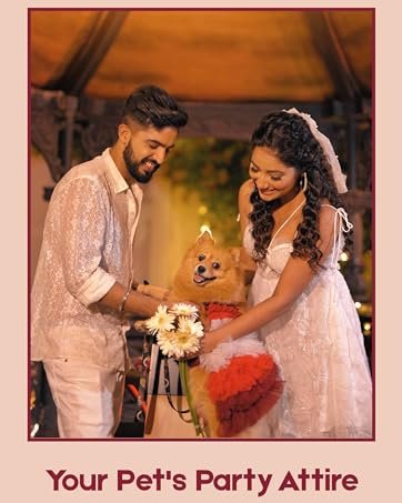 couple getting married celebrating the function with their dog