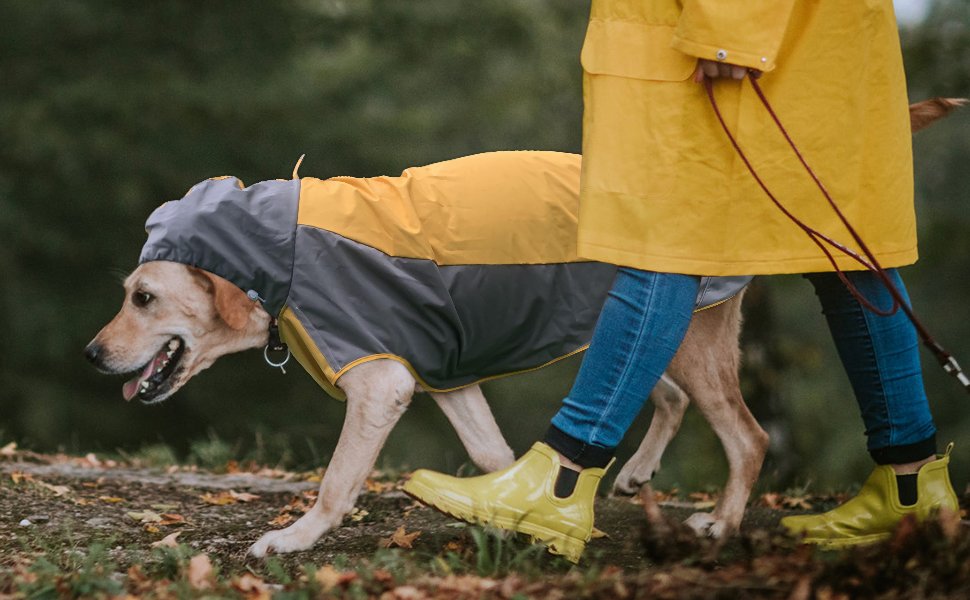 Dog Waterproof Jacket