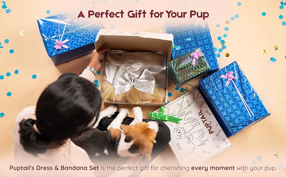 Owner gifting their dog a dress